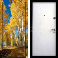 Металлическая дверь Фотопечать №258